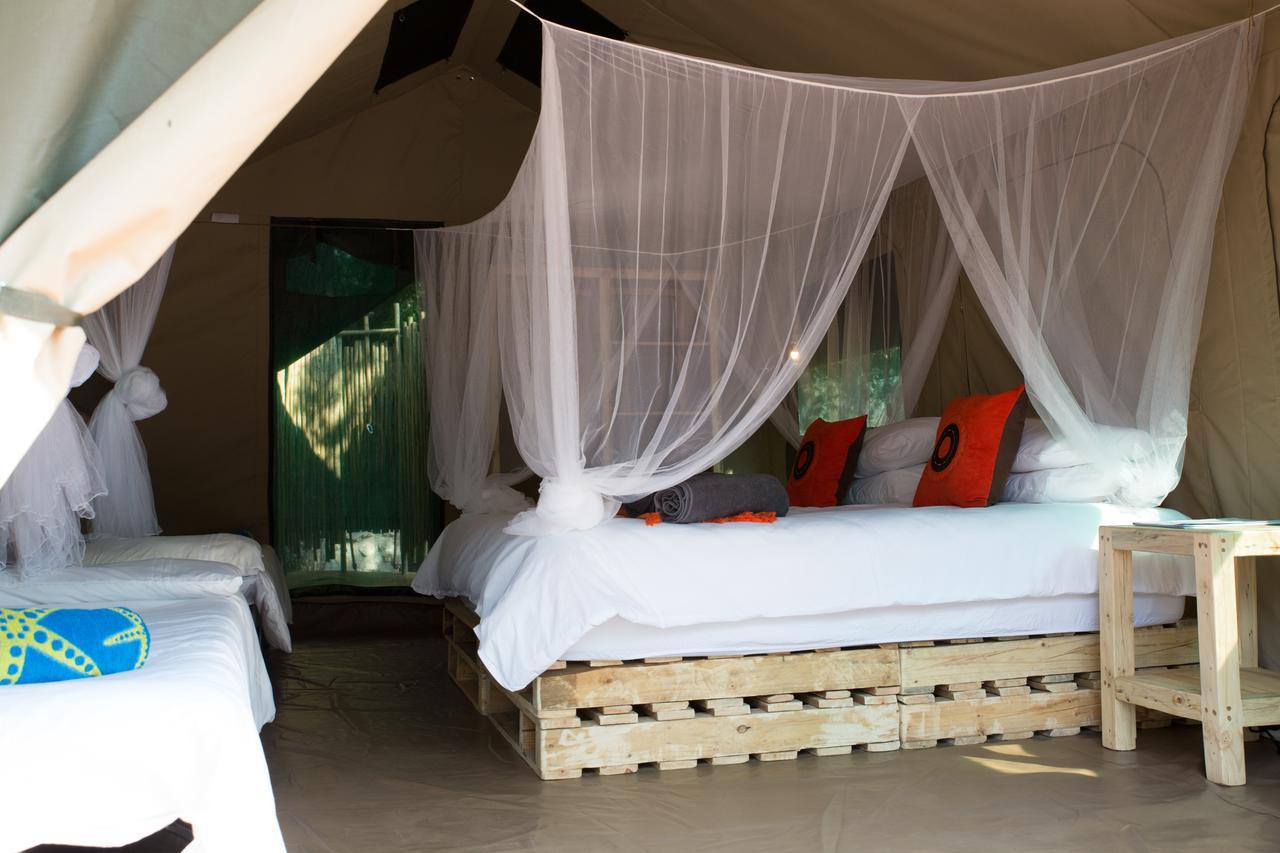 Southern Sands Eco Lodge Hoedspruit Kültér fotó