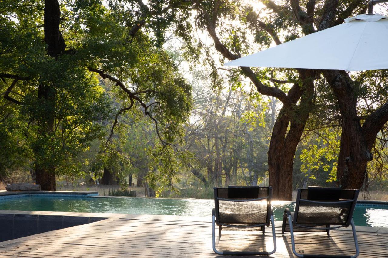 Southern Sands Eco Lodge Hoedspruit Kültér fotó